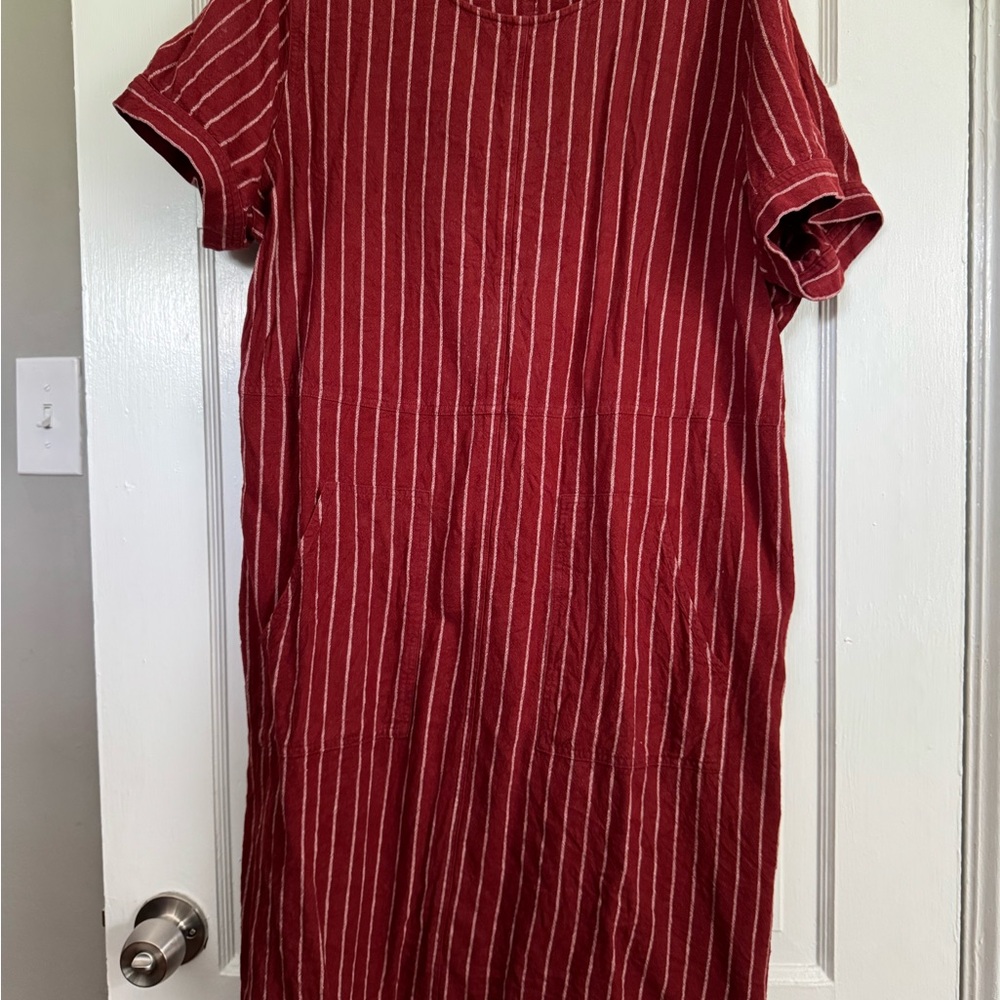 Susina  burgandy Midi Shift Dress with Cuffed Sleeves
